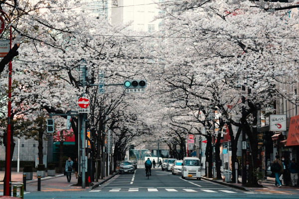 日本留学怎样？为什么如此受欢迎？